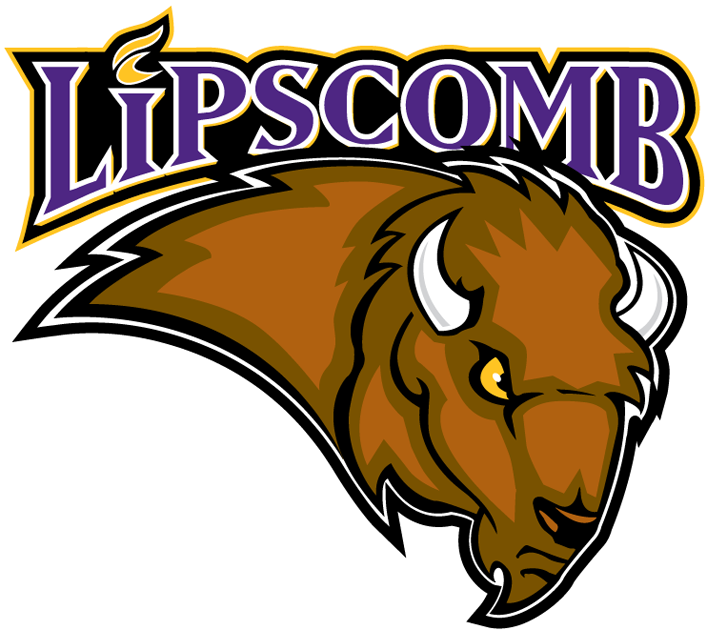 Lipscomb Bisons 2002-2011 Primary Logo diy iron on heat transfer